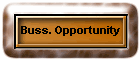 Buss. Opportunity